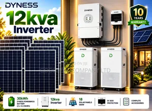 32kWh 12kVA Dyness Massive Clean Energy Solar System Full Kit