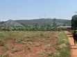 Plots for Sale in Kalagala Busika - 1