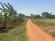 Plots for Sale in Kalagala Busika - 2
