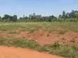 Plots for Sale in Kalagala Busika - 3