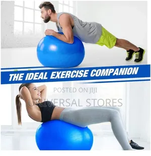 Abgymnic Professional Yoga Ball