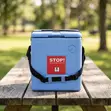 Vaccine Carrier with Ice Packs (1.5L-2.5L) - 2