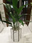 Wooden Hexagon Flower Pots - Brand New - 1