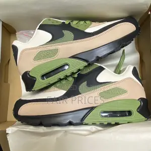 Nike Air Max Shoes