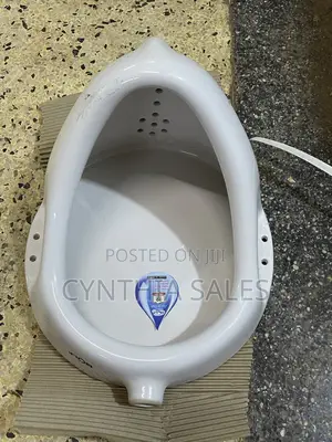 Brand New ACE Urinal Bowl