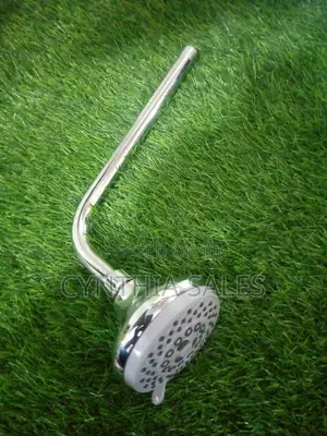 Brand New Shower Head and Stick Set