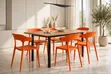 Wooden Foldable Dining Table with 6 Plastic Chairs - 1