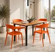 120x60cm Wooden Foldable Dining Table and 4 Chairs Set - 2