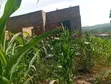 Residential Land for Sale - Bujuuko - 2