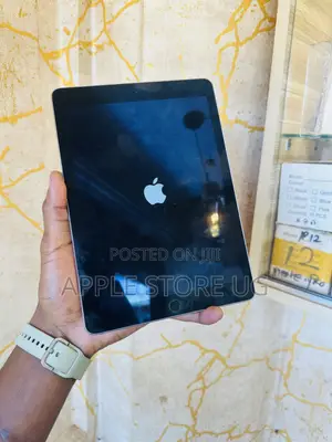 Apple iPad Air 2 16GB Gray