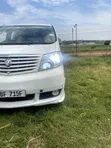 Comfortable Toyota Alphard for Hire - 2